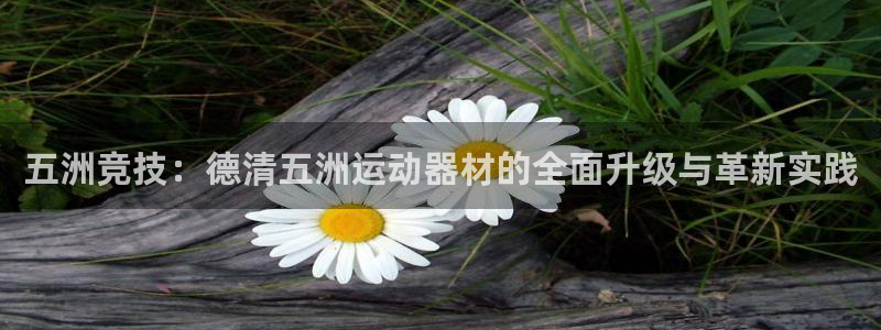 k1体育官方正版app开户