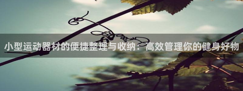 海南k1体育官网下载