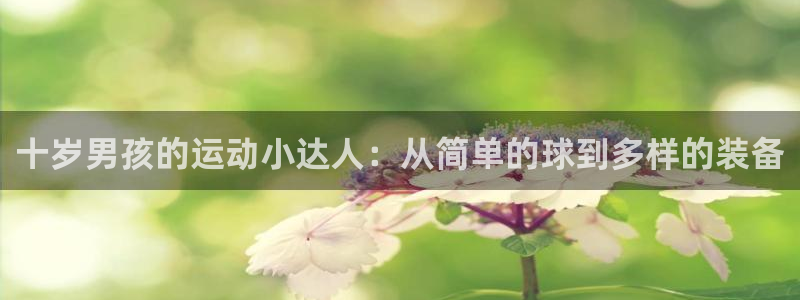 k1体育官网下载平台是正规平台吗知乎：十岁男孩的运动小达人：