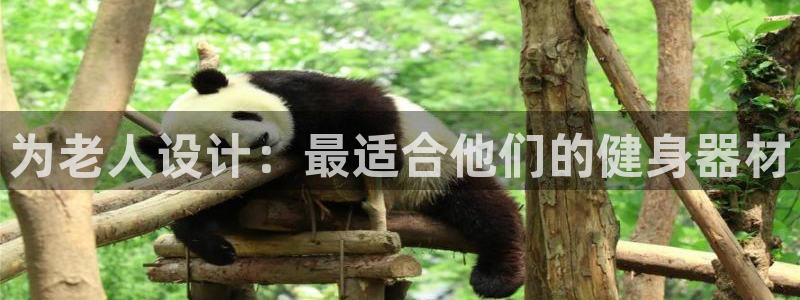 k1体育官方正版app集团E.ON：为老人设计：最适