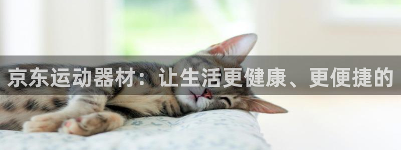 k1体育官网下载招商电话号码是多少啊：京东运动器材：让生活更