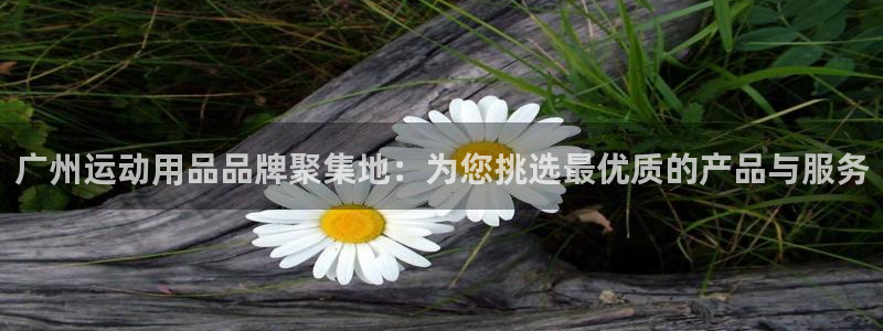 k1体育官网下载招商电话号码