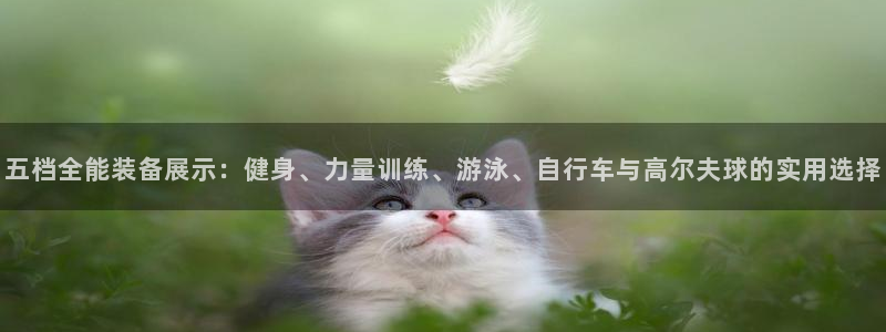 k1体育官网下载平台注册要钱吗:五档全能装备展示:健身、力量
