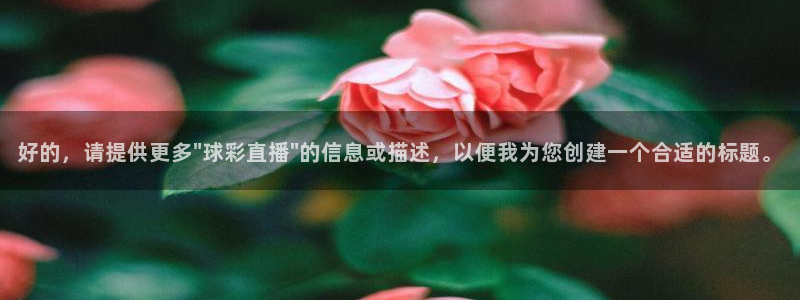 833nba直播在线观看免费：好的，请提供更多\