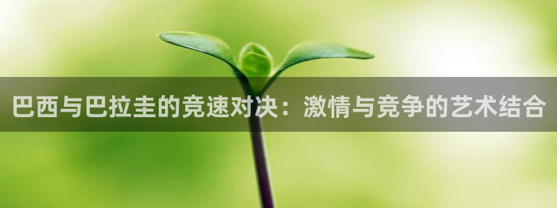 833球赛直播：巴西与巴拉圭的竞速对决：激情与竞争的艺术结合
