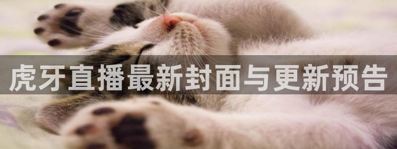 833比赛直播：虎牙直播最新封面与更新预告
