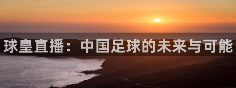 833篮球直播在线直播：球皇直播：中国足球的未来与可能